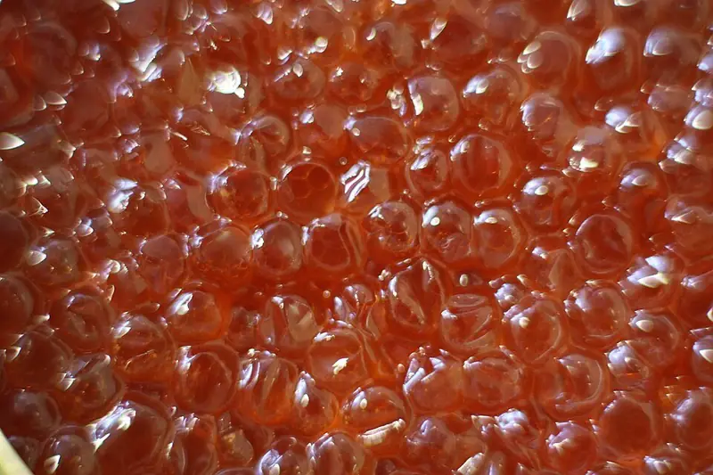 Representative photo of fish roe (salmon roe)